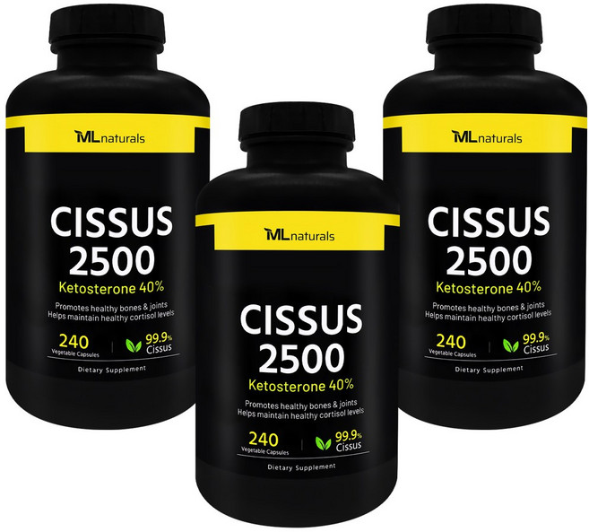 [미국번개배송] 마이라이프 내추럴스 시서스 2500 케토스테론 40% 240정 3병, 3개