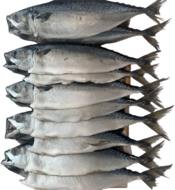 국내산 자반고등어 10미 비싸지기 전에 드셔야합니다., 1세트, 10미당 2.5kg - 3kg 내외