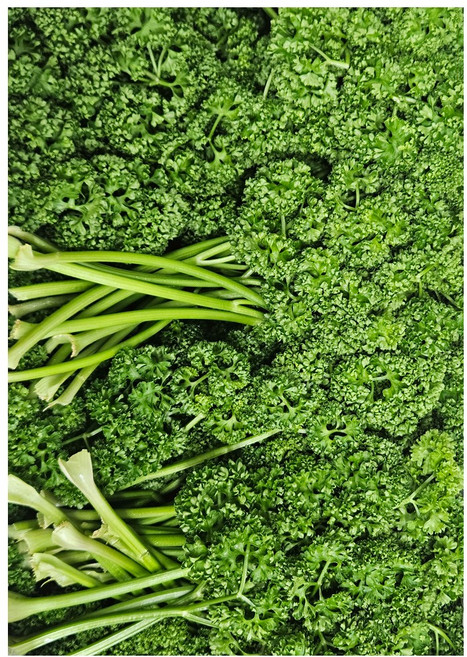 야채왕 생파슬리 300g 파세리, 1개