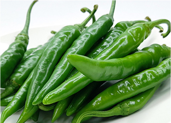 야채왕 아삭이고추 오이고추 200g/ 500g/ 1kg/ 5kg/ 10k, 500g, 1개