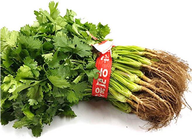 야채왕 고수 약300g 고수나물 고수풀 국내산, 1개