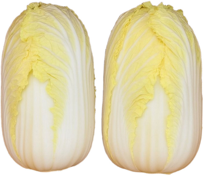 맛통령 알배추 알배기 쌈배추 3통, 1박스, 2kg