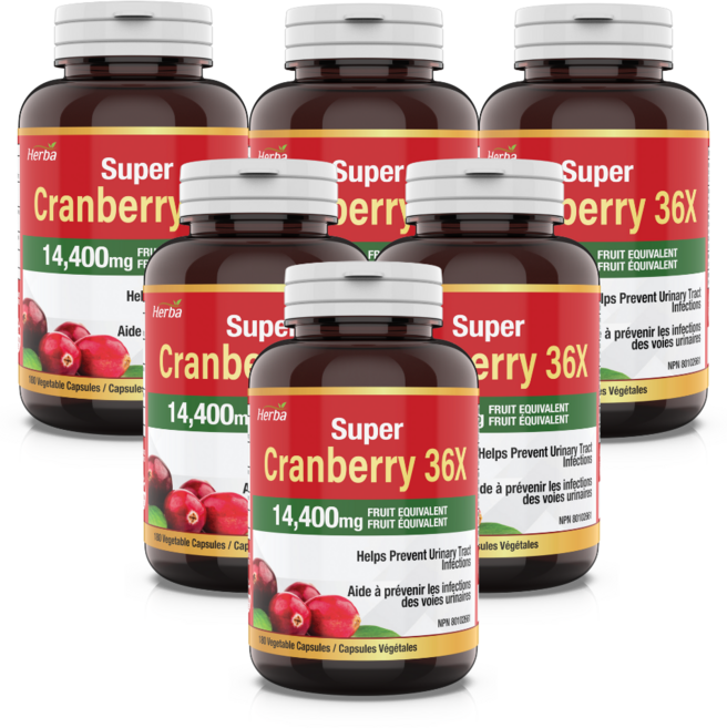 크랜베리 28800mg 180비건캡슐 36배 농축 크렌베리 허바 캐나다, 180정, 6개