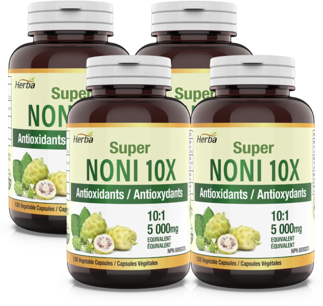 노니 캡슐 10000mg 120식물성캡슐 10배 농축 노니환 허바 캐나다, 120정, 4개