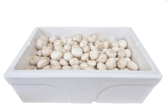 머쉬그로 국내산 양송이버섯 특상품 꼬다마 산지직송, 1개, 꼬다마 2kg