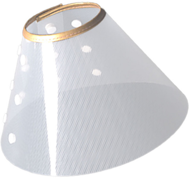 딩동펫 반려동물 똑딱 깔때기 넥카라, 투명, 1개