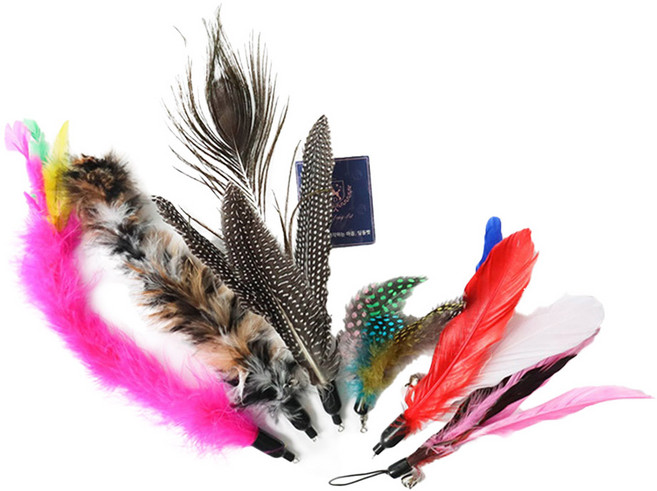 딩동펫 고양이 낚싯대 리필 깃털 6종 세트, B, 1세트