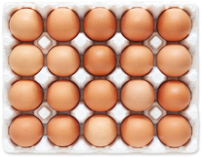 알참참 신선한 초란, 3개, 20구