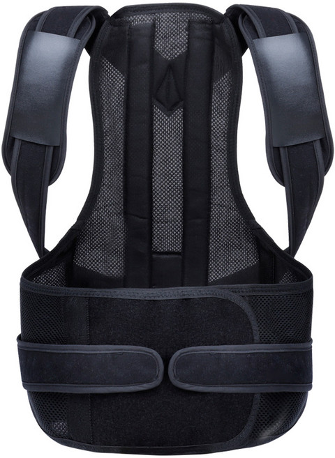 바디보감 바른자세 바른핏 밴드 L, 1개