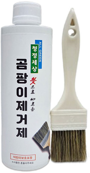 붓으로바르는 청정세상 곰팡이제거제 클리너 (붓포함), 500g, 1개