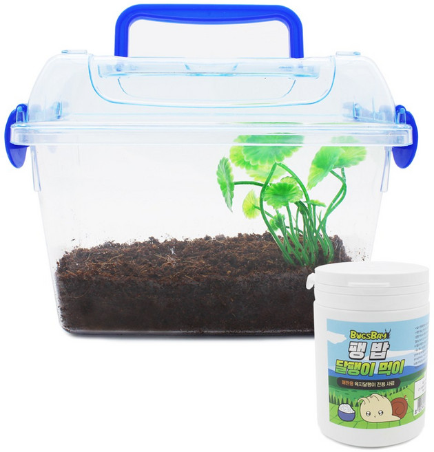 달팽이용 기르기세트 럭셔리, 1개, 소형 세트