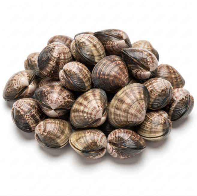 [디어브릭스] 4차완판! 당일조업 산지직송 최상품 남해 새꼬막 꼬막 청정 당일조업 아이스 박스 팩 포장 레스토랑 업소용 식당 납품용, 1개, [당일조업] 최상품 새꼬막 중 1kg