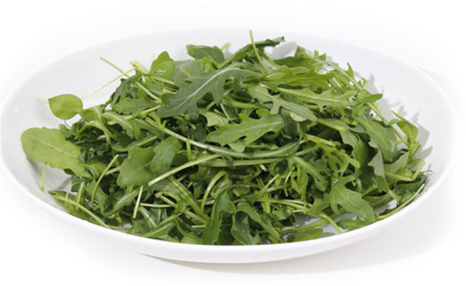 쉐프의정원 와일드 루꼴라, 500g, 1개