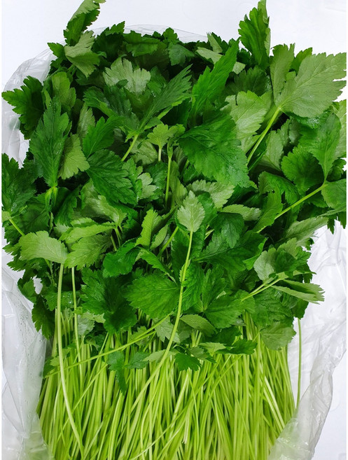 싱싱한 국내산 참나물 200g 500g 1kg 4kg 중량별, 1개, 참나물 4kg(3.8~4kg)