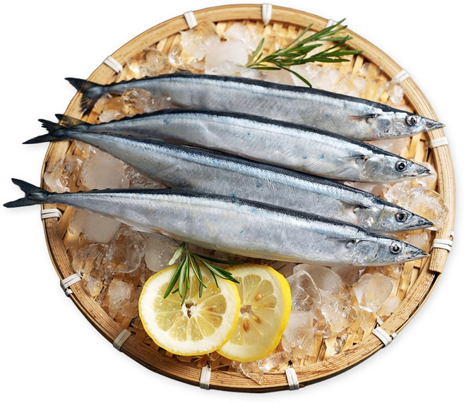 비비수산 꽁치 대사이즈 1kg (8-11미), 1개