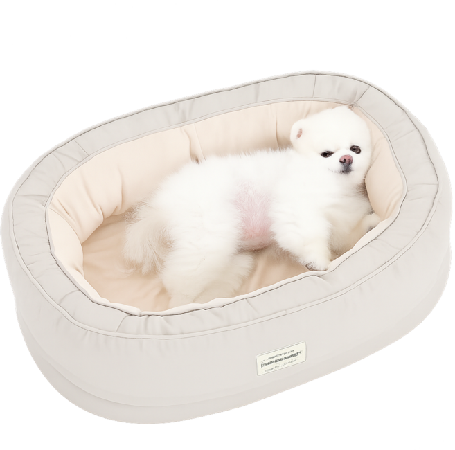 옥희독희 반려동물 꿀몬스 방석, 아이보리, 1개