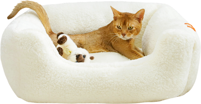 옥희독희 반려동물 양털 골골 침대, 아이보리, 1개