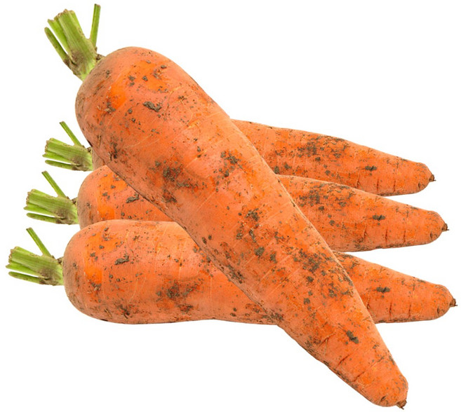 [재구매율1위]제주맛 달콤아삭 최고급특수농법 명품 흙당근, 1박스, 옵션1-1kg 내외(중)