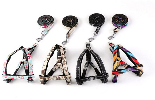 웰럽 프리미엄 반려견 강아지 하네스 세트 WL-1184, 스타, 1개