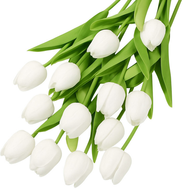 레디박스 감성 조화 튤립 10송이 꽃다발, 화이트, 1개