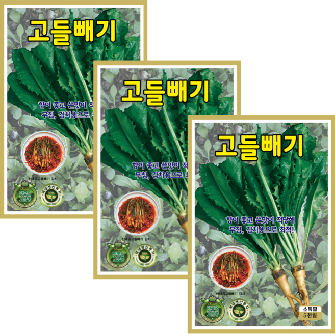 씨앗팜 고들빼기 씨앗 3개 국내산 고들빼기 씨 종자