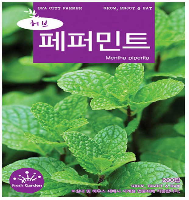 영농사 페퍼민트 씨앗 200립 민트 허브씨, 1개