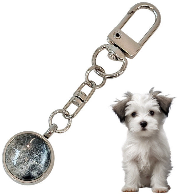 강아지 메모리얼 털 보관 키링 고양이 선물 캡슐 추모 펫로스