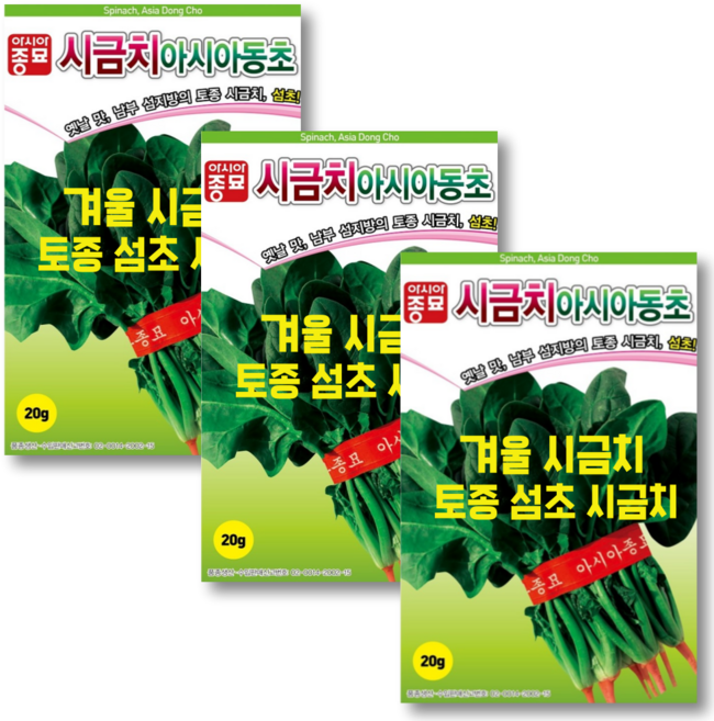 월동 섬초시금치 씨앗 (20g) 3개 동초 시금치 겨울 재래종 종자 씨