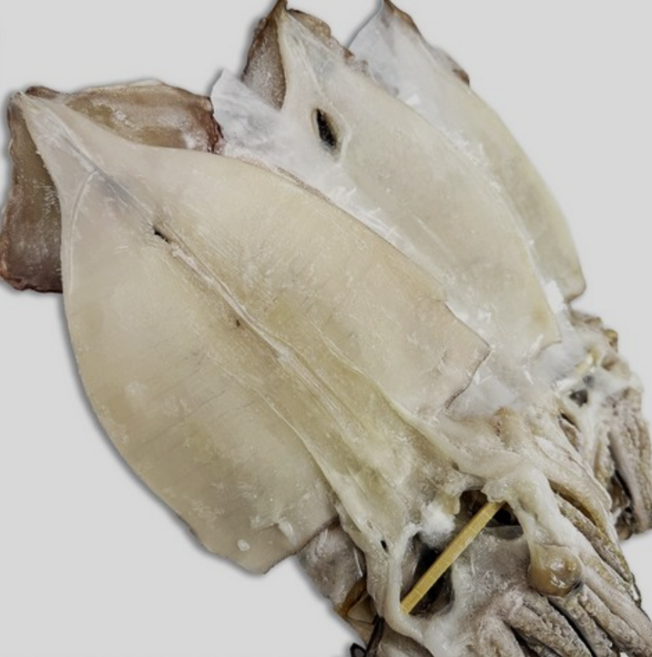 [이로운한입] 통영 반건조오징어, 1세트, 국내산 반건조오징어 1.7Kg~2Kg 10미