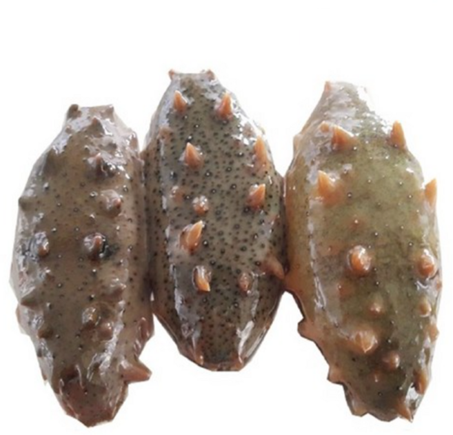 제철 해산물 골라담기, 1개, 해삼500g