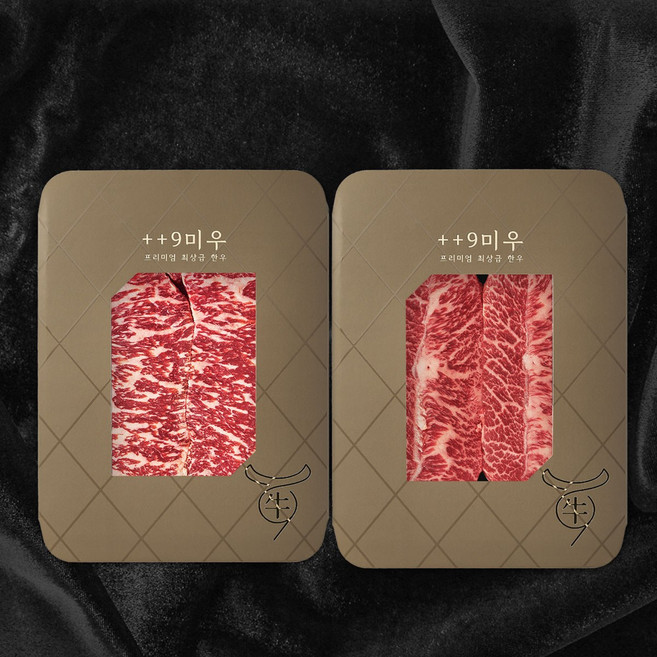 [구미우] 1++9등급 한우 채끝살 250g+부채살 250g 구이용 냉장, 단품, 단품