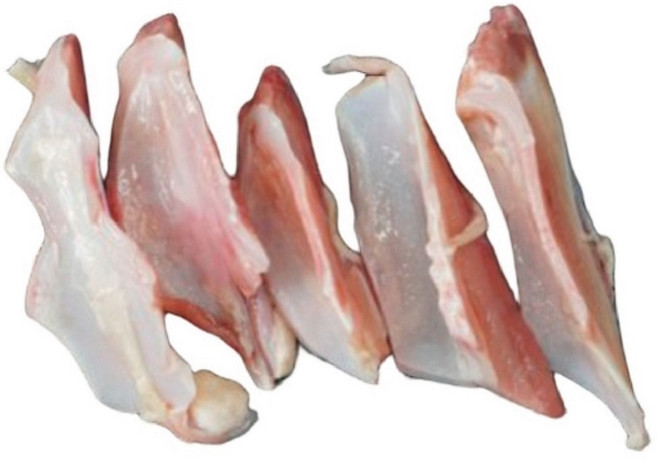 오리 연골 5kg 강아지 생식 반려견 대형견 수제 간식 재료 원육 대용량 생 오리연골 냉장, 1개, 오리간식