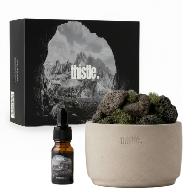 티슬 화산석 스톤 디퓨저 실내 방향제 인테리어 오브제 아로마 오일 디퓨져, 산책, 1개