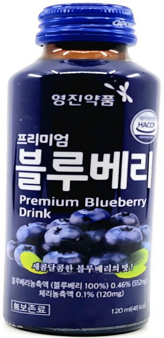영진약품 블루베리 120ml