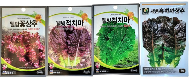 사계절용 상추씨앗 4종 세트 봄 가을 9월 채소씨앗 파종 종자, 1개