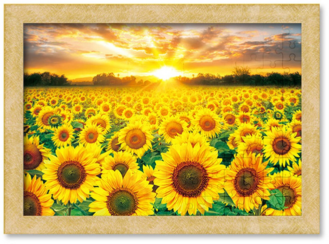 500피스 직소퍼즐+액자세트 - 황금빛으로 물든 해바라기 들판 (액자포함), 액자선택가능, 1세트