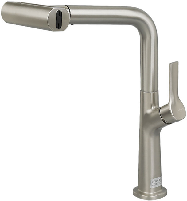 에떼르노 4way 다기능 와이드 폭포수 주방 싱크대 수전 EK5001 무광니켈, 1개