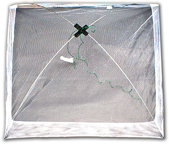 고씨낚시 BCF 십자천 새우 채집망 물고기 그물망 통발 100x100, 단품