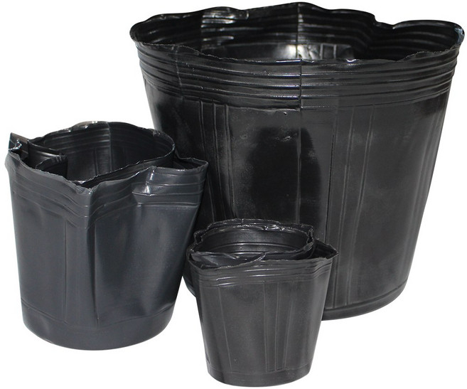 비닐포트 7호 육묘 모종 분갈이 꽃 화분 소량 대량, 검정, 100개