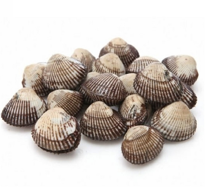 벌교꼬막 새꼬막 피꼬막 당일발송, 1개, 새꼬막2kg소 240미내외 4인 반찬요리)