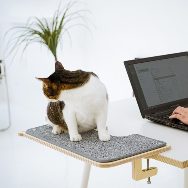 캣돌 고양이 책상 책장 선반 캣타워 해먹, 1개