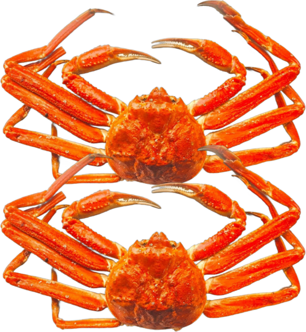 (오후2시이전주문/당일발송/내일도착) 자숙 대게 (찜)통대게, 1개, 찜(자숙) 통째로 대게 3KG
