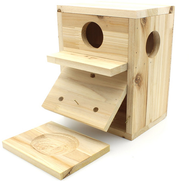 리얼크라운 국내산 잉꼬 알통 (잉꼬 사랑앵무새 알집 ), 1개, 원목