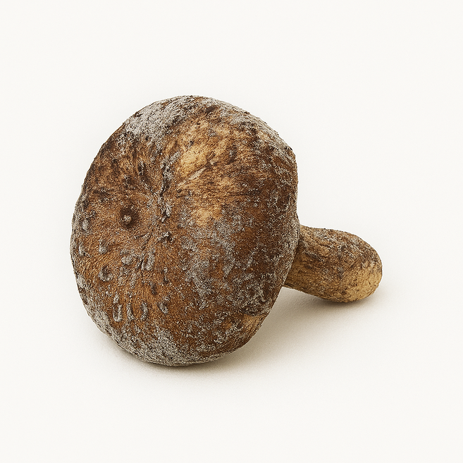 금강송이무역 자연산 능이버섯 냉동 특품, 1kg(A급, 냉동, 7~10 cm), 1개