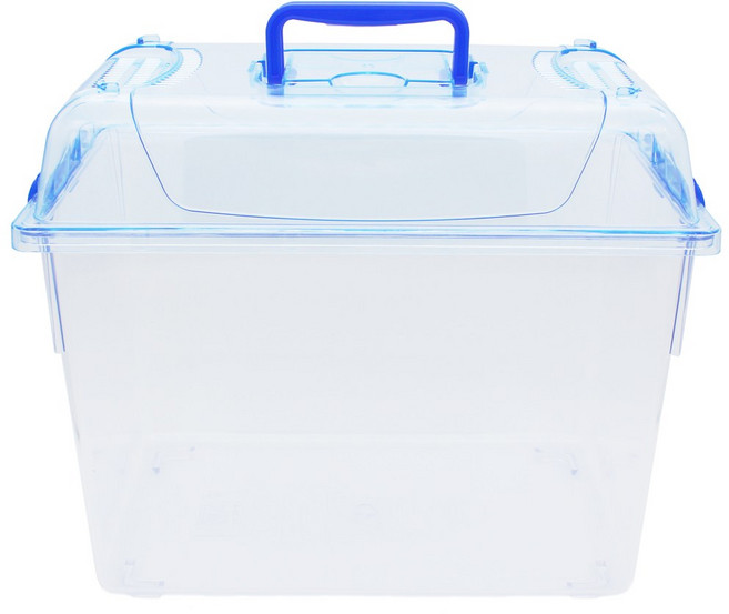 크린블루 사각케이스 소, 1개