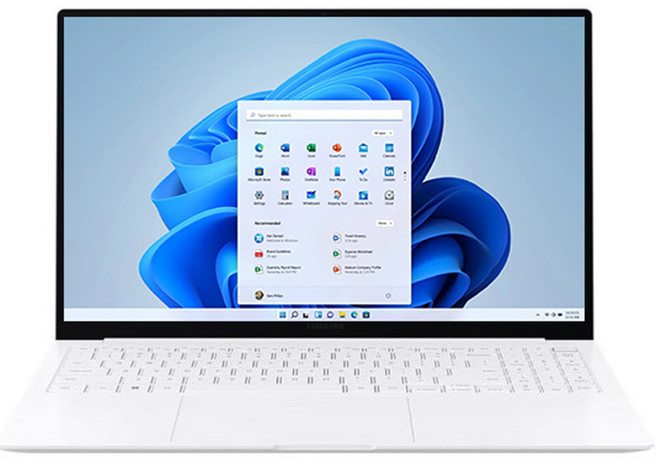 삼성전자 갤럭시북 프로 SE NT950XFT-A51A 인텔 i5 RAM 16GB SSD 256GB AMOLED패널 가성비 사무용 업무용 인강용 노트북, Free DOS, 실버