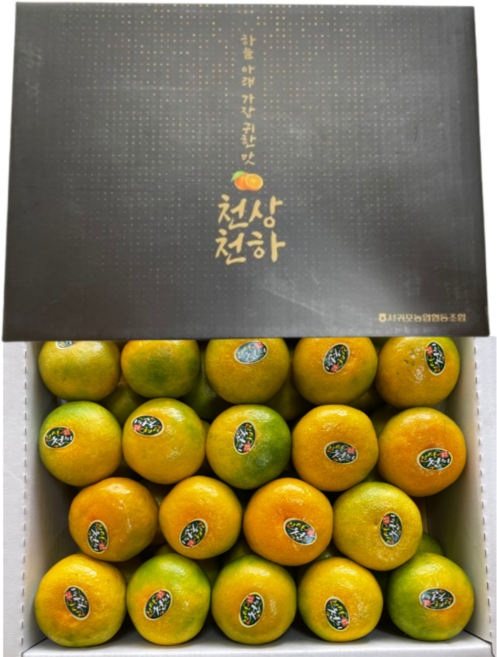 (청정밥상) 제주 감귤 선물세트 3kg (31-39과), 1박스, 3kg (31-39과) 선물세트