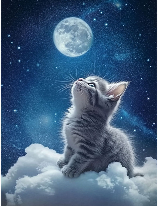 뉴타임즈 보석십자수 캔버스형 40x50cm DIY 액자형 풍경 인물 꽃식물 다이아몬드 그림 액자 캔버스형 수공예 애호가 특별한 선물 방 장식품, 1세트, 달을 보는 고양이 00098