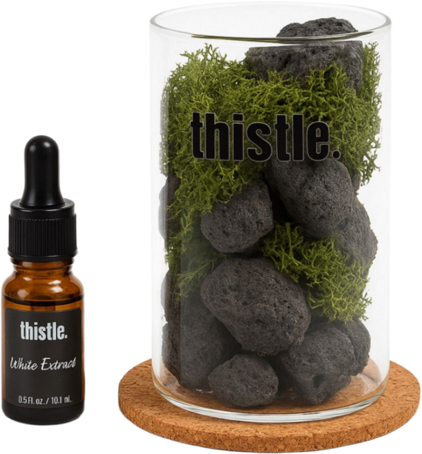 화산석 스톤 디퓨저 선물세트 인테리어 집들이 개업 거실 화장실 현무암 아로마 오일, 테싯(이솝향), 1개