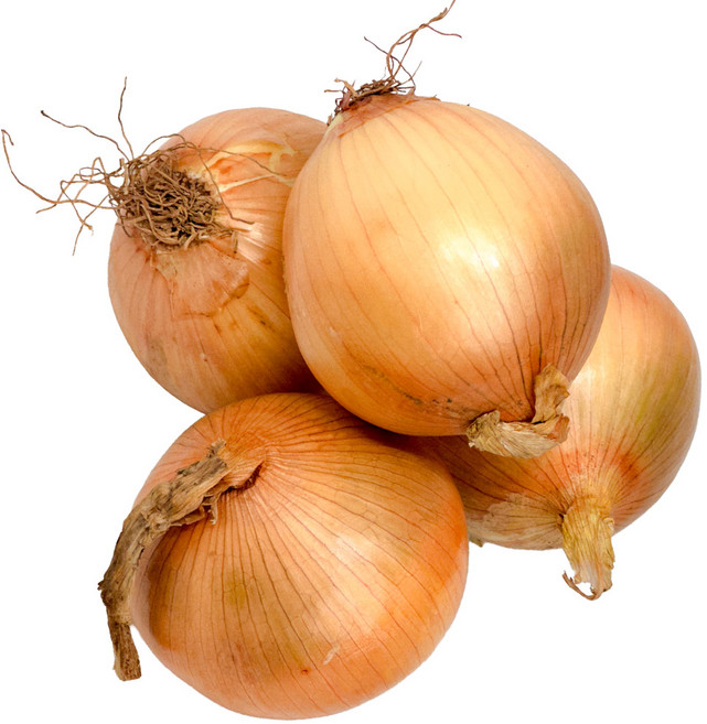 국산 햇양파 중과12kg 달고 시원하고 맛있는 황토양파, 1개